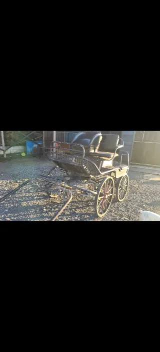 Carro de caballos para exhibición