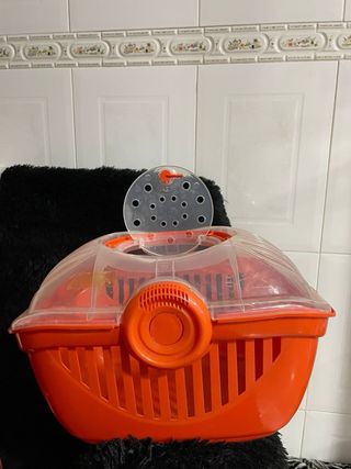 Transportín/Casa Cobaya Naranja y Transparente