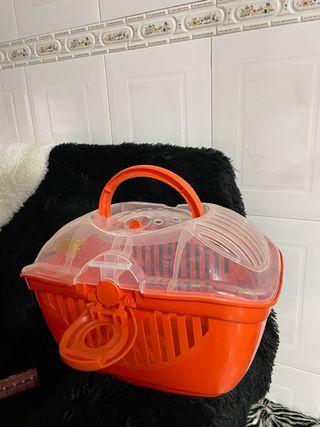 Transportín/Casa Cobaya Naranja y Transparente