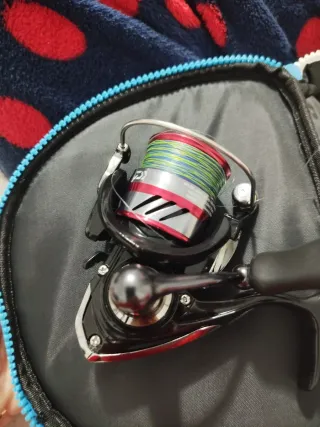 Caña cinnetic rextail y carrete daiwa fuego 2000LT