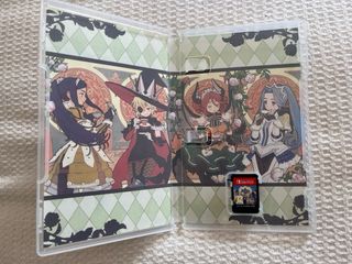 🇪🇸 The Princess Guide Nintendo Switch RPG