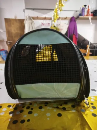 Transportín gato pequeño.