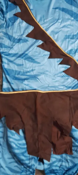 Disfraz Avatar Talla L Se regalan orejas