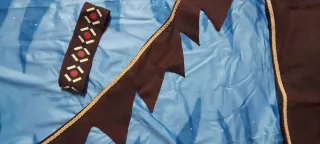 Disfraz Avatar Talla L Se regalan orejas