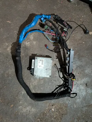 ECU C18XE + Cablagem Siemens