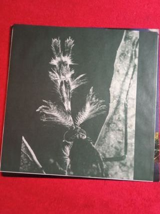 Stan Ridgway - Mosquitos