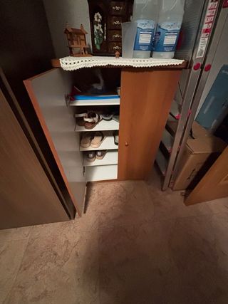 Zapatero de madera y plástico