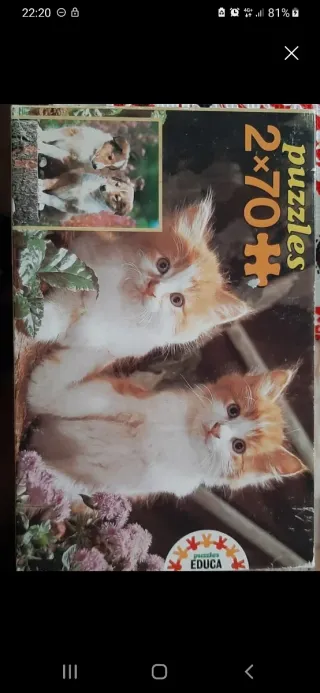 Lote 4 Puzzles Paisajes variados