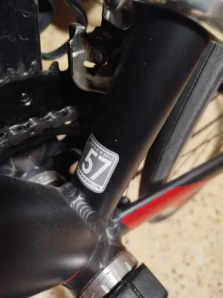 En venta Bici de carretera Orbea Avant