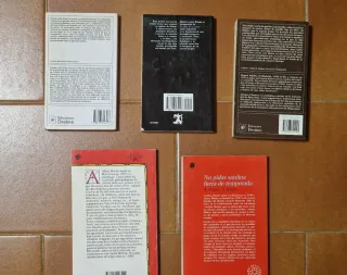 Lote libros literatura castellana