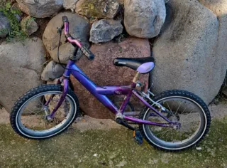 Bicicleta infantil 16 morada
