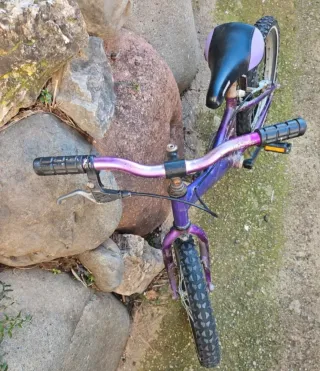 Bicicleta infantil 16 morada