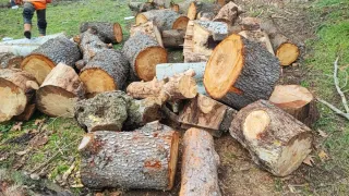 Motosierra STIHL MS 201TC A ESTRENAR.  35cm