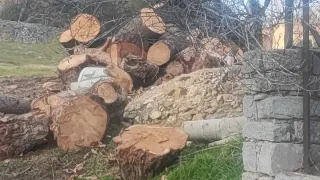 Motosierra STIHL MS 201TC A ESTRENAR.  35cm