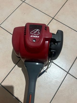 Decespugliatore Honda GX35 4 tempi