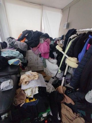 LIMPIEZA PROFESIONAL 651 31 8717