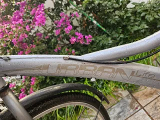 Bicicleta Boomerang con cesta