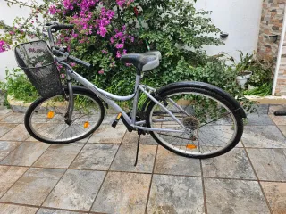 Bicicleta Boomerang con cesta