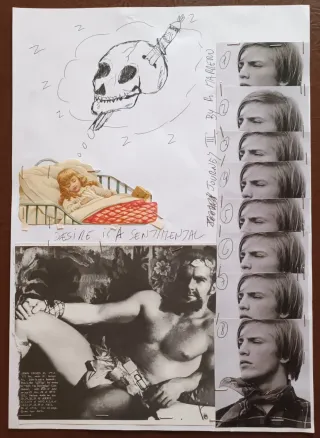 Collages originales Roberta Marrero