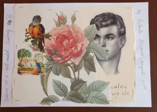 Collages originales Roberta Marrero