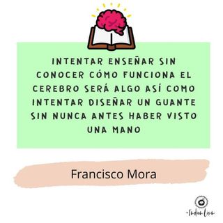 Pedagoga | Refuerzo escolar y técnicas de estudio