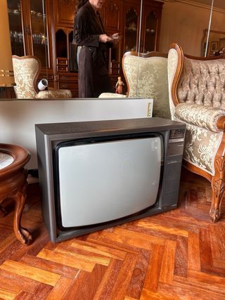 Televisor antiguo ITT y Philips!