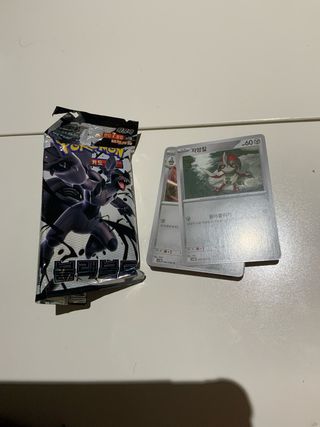 Pokemon Fulgor Negro - 35 Cartas