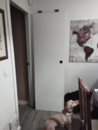 Puerta corredera blanca