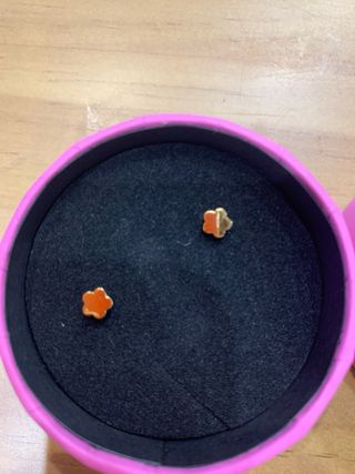 Pendientes baño de Oro Tous Flor