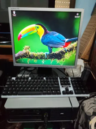 PC HP Quadcore Negro disco duro 320 gigas Windows