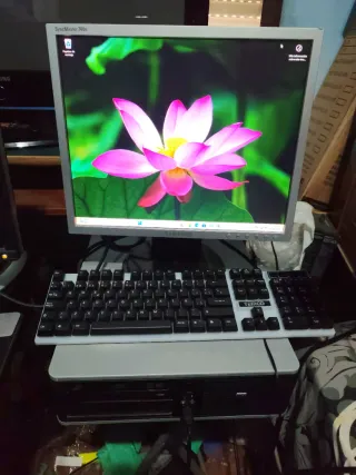 PC HP Quadcore Negro disco duro 320 gigas Windows