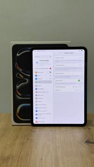 100% iPad Pro 11 M4