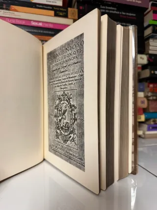 Don Quijote de la Mancha (Cervantes) tapa dura 198