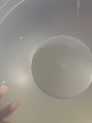 Centrotavola Tupperware Trasparente/Teal