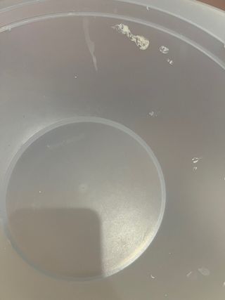 Centrotavola Tupperware Trasparente/Teal