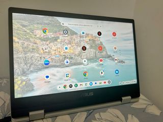 Chromebook ASUS Flip CM1 (CM1400)