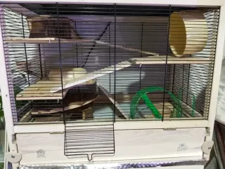 Jaula hámster con accesorios y demas