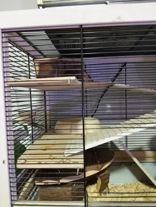 Jaula hámster con accesorios y demas