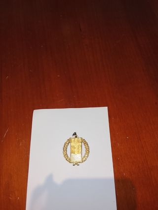 Medalla al mérito de estudio dorada