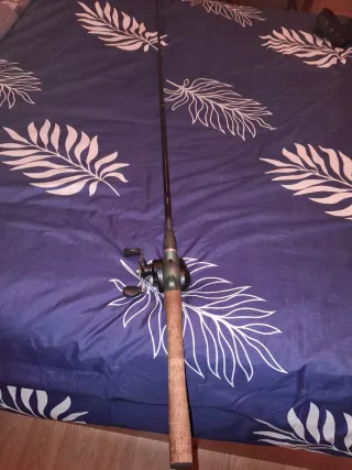 Caña y carrete de pesca