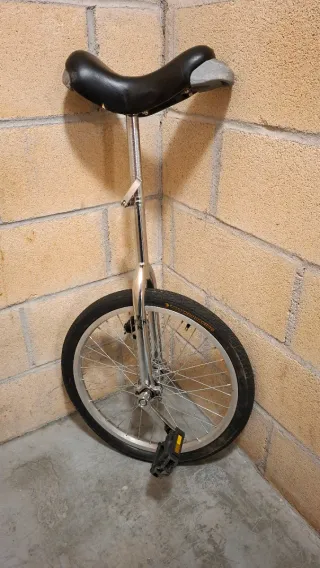 Monociclo Alu/Acero 20"