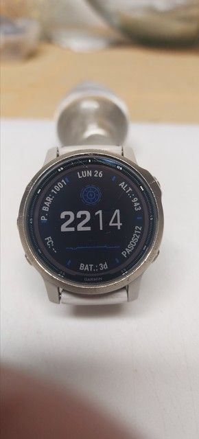 Garmin Fenix 6S Pro Solar Beige/Gris