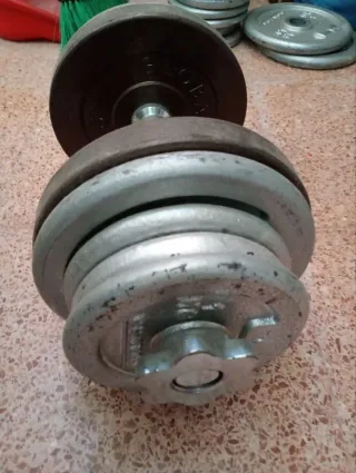 Mancuernas  de disco de 5 kg