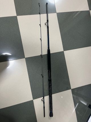 Caña de embarcación DAM