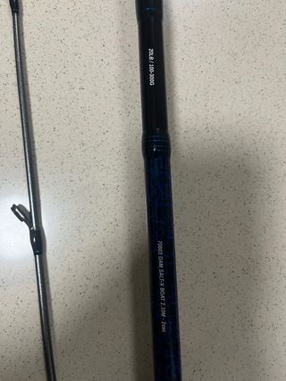 Caña de embarcación DAM