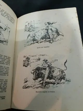 Libro taurino antiguo