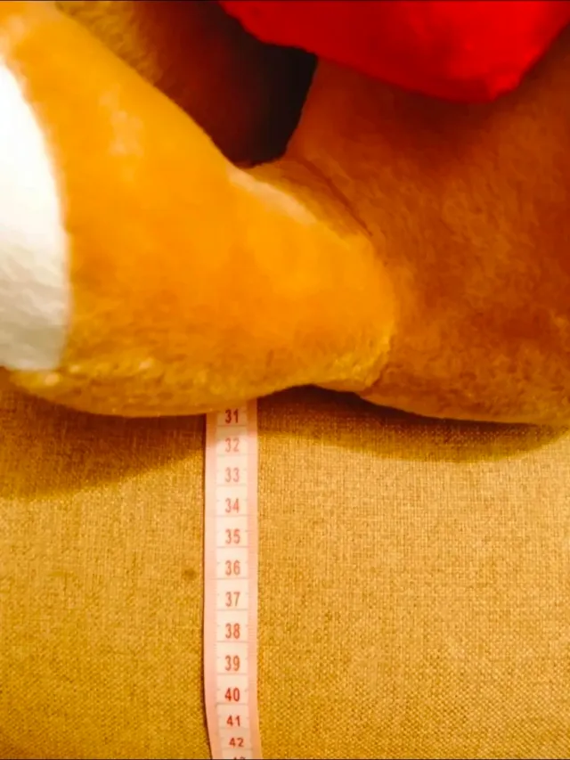 Peluche León Corazón Amor 31cm