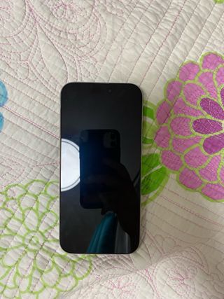 iPhone 16 Pro Max 256GB Gris