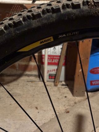 Specialized Stumjumper 29