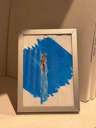 Quadretto Pallanuoto Stile Werner Bronkhorst